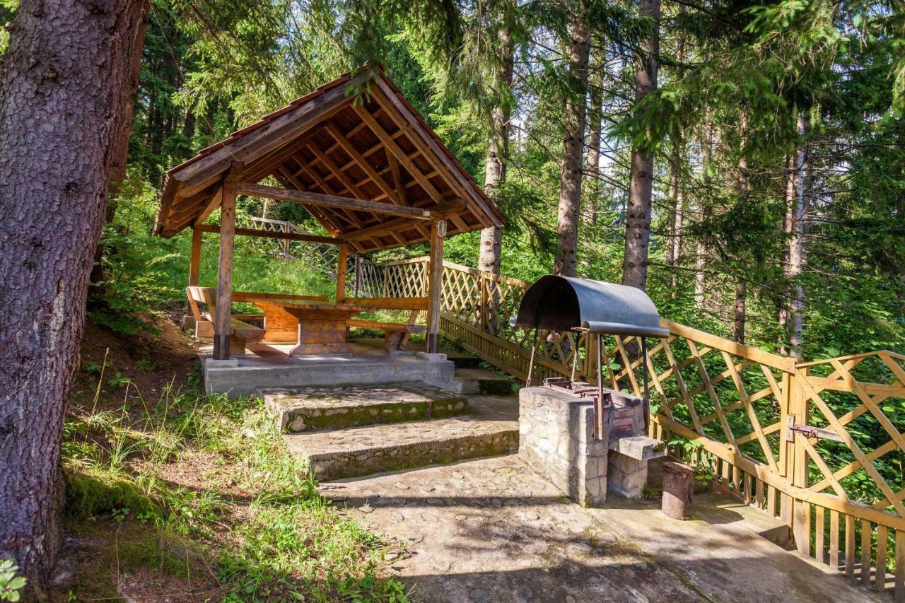 Hôtel Альпина à Yaremtche Extérieur photo