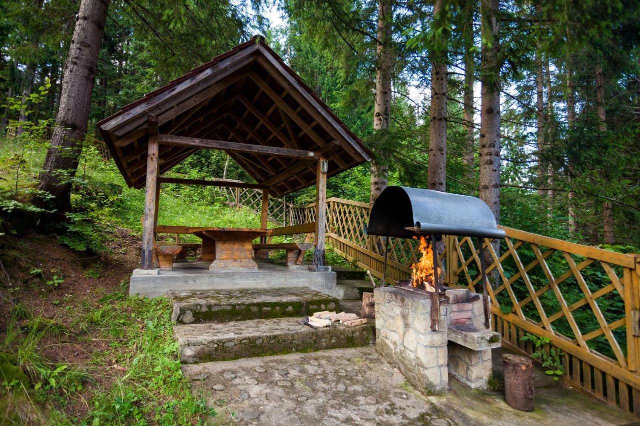 Hôtel Альпина à Yaremtche Extérieur photo
