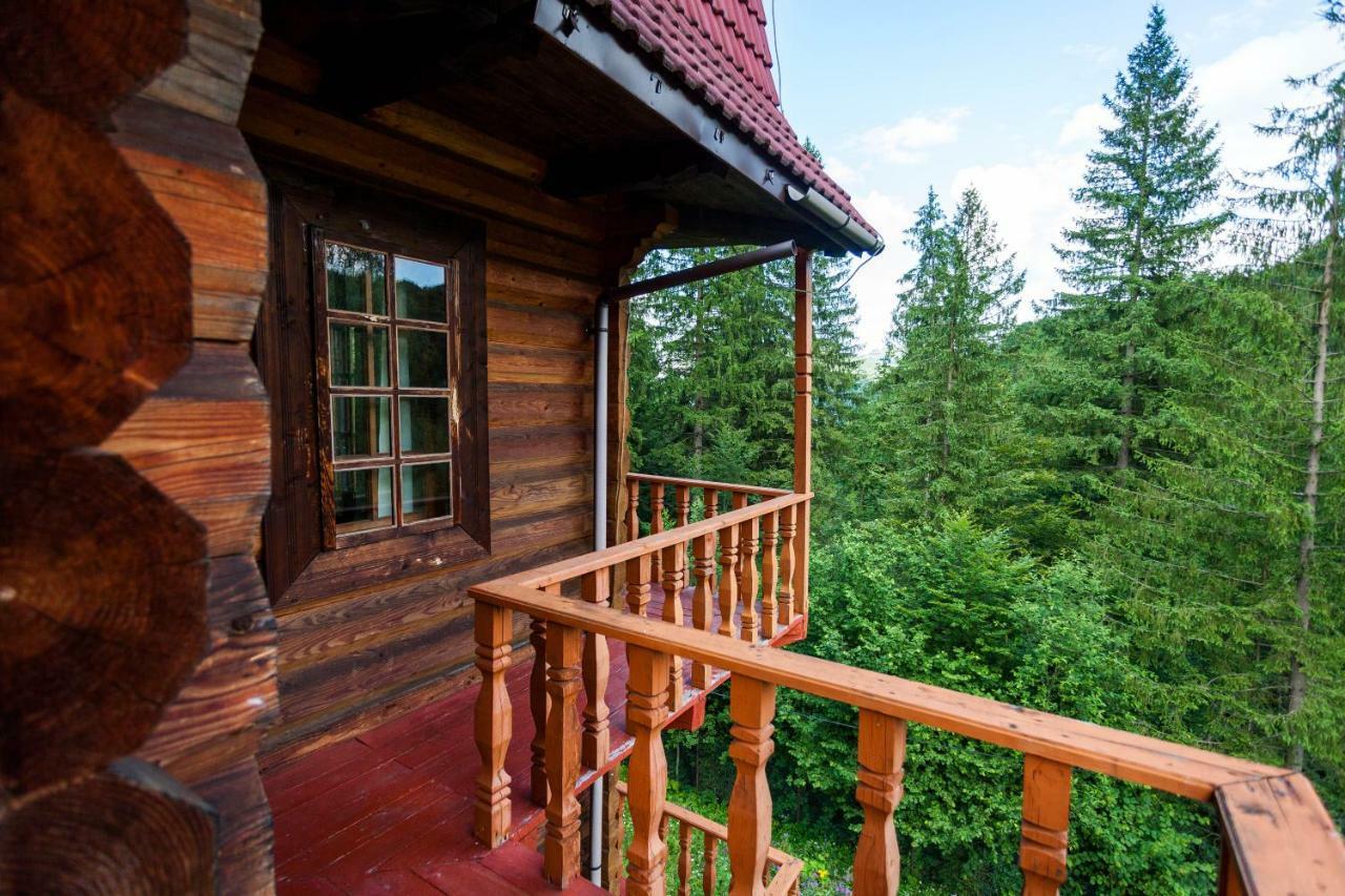 Hôtel Альпина à Yaremtche Extérieur photo