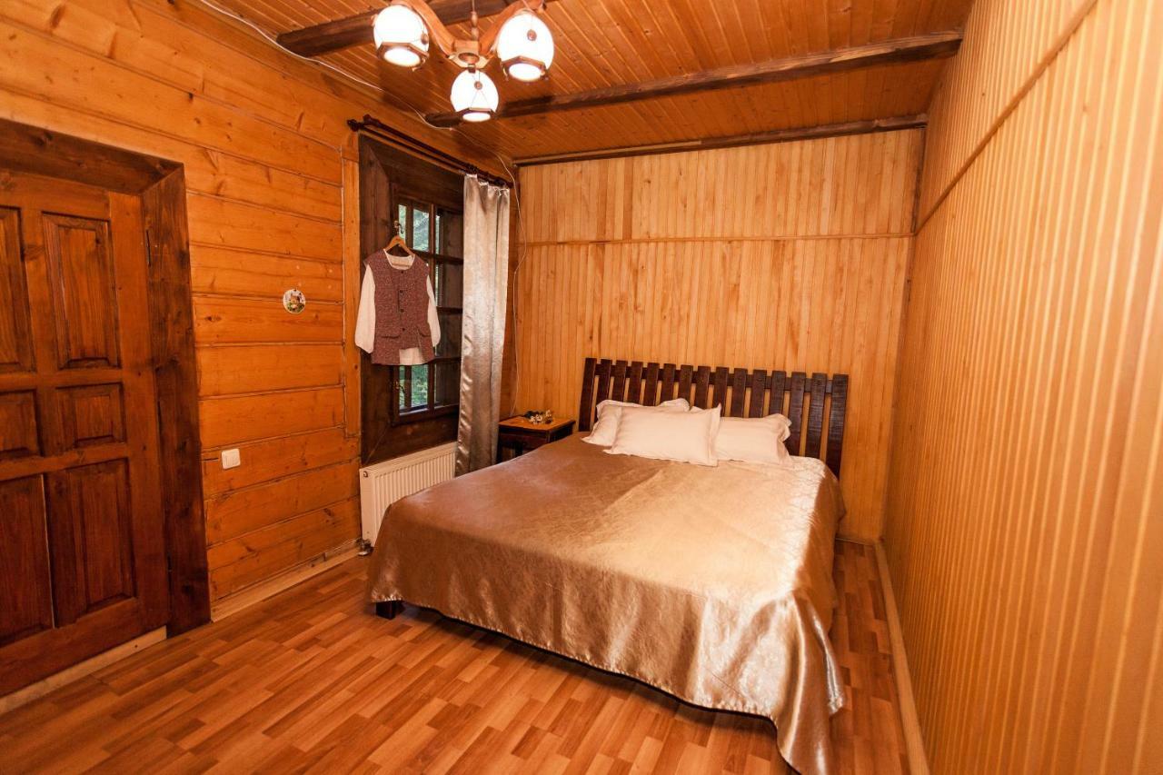 Hôtel Альпина à Yaremtche Extérieur photo