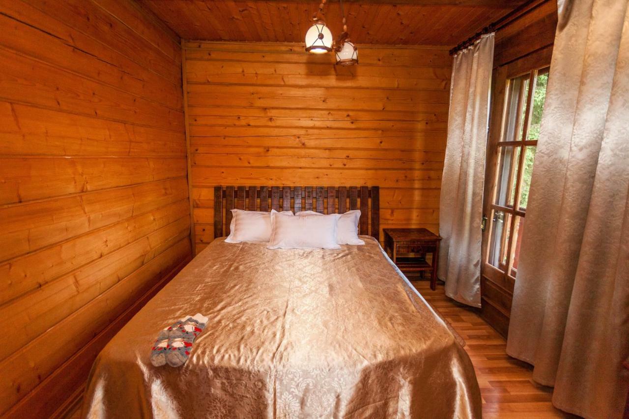 Hôtel Альпина à Yaremtche Extérieur photo